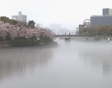 花時雨の広島、平和大橋の上から